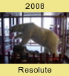 Resolute 2008